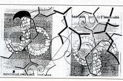 Gaetano brundu interleokine 240
